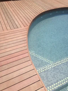 26219231 1531229060288946 8246375990012192565 n