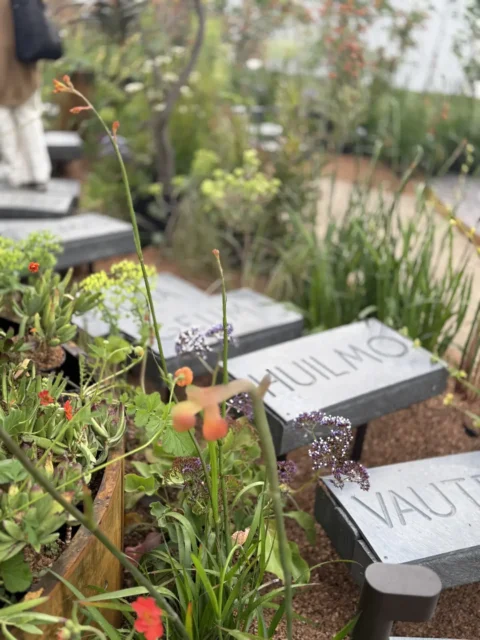 Timberecco proyecto plastico reciclado expo jardin 2025 3