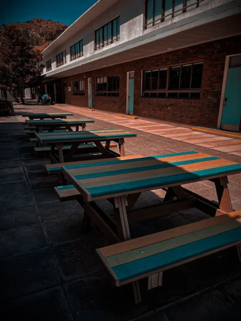 Timberecco proyectos dunalastair1