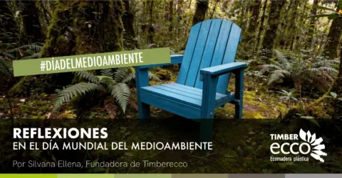 Artículo sobre REFLEXIÓN –  ¿QUÉ SIGNIFICA TRABAJAR PARA EL MEDIO AMBIENTE?